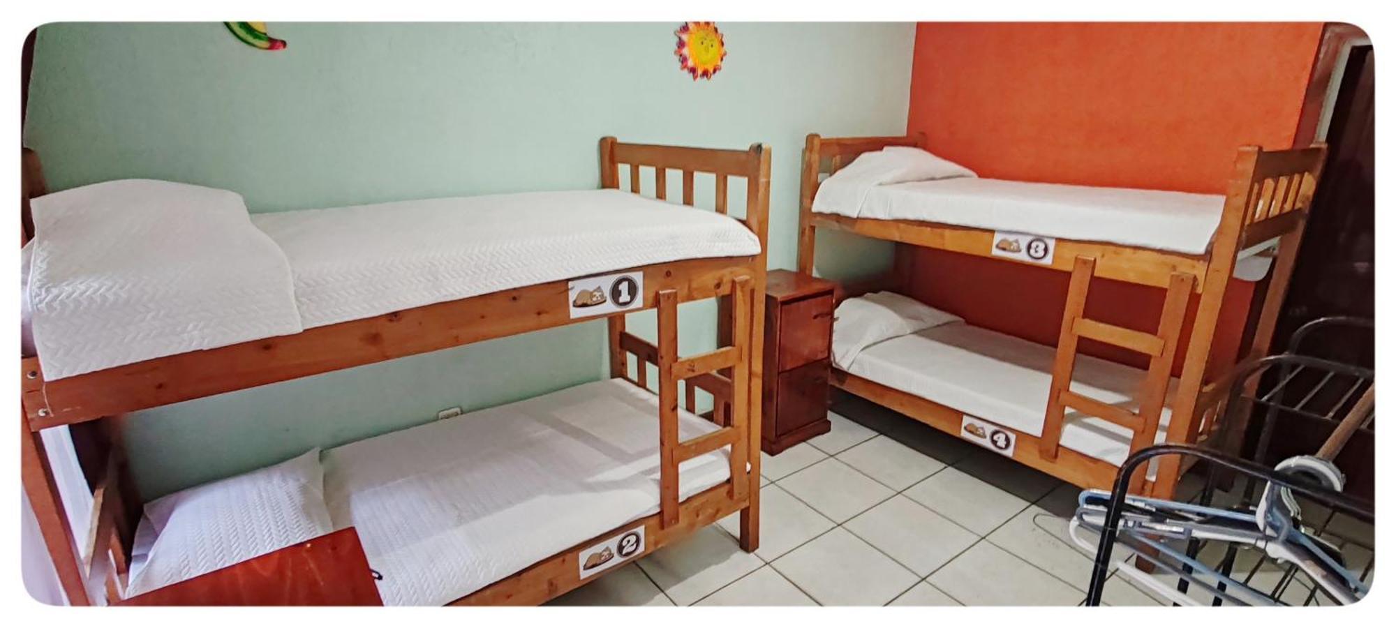 Hotel & Hostel Sloth Backpackers Monteverde Exterior foto